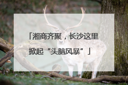 湘商齐聚，长沙这里掀起“头脑风暴”